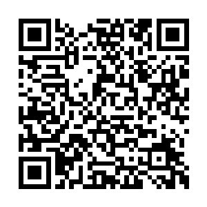 而大梦也在马里布海滩包下了专用的派对大别墅二维码生成