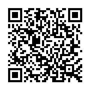 而天城公司则是梅九曜的大女婿齐天成和他人合办的私营企业二维码生成