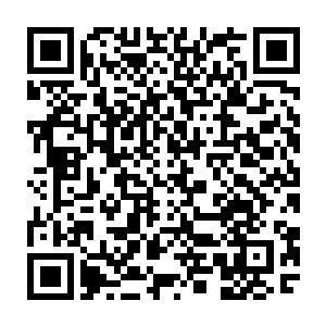 而天秤圣骑看着苏凡半弓着身子右手成肘悍然之间就朝着苏凡的后背砸了过去二维码生成