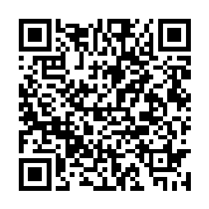 而天道的确是有些不太自然的把自己的手收了回去二维码生成