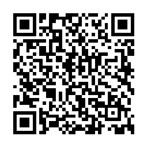 而女主角小紫衣凭借出色的外貌以及精湛的演技二维码生成