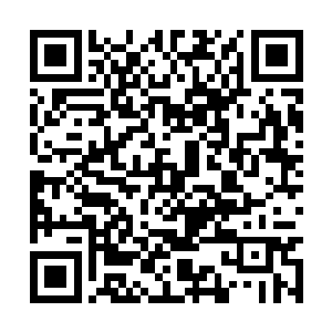 而她不客气的话也让莫崎皱了皱眉后还是点了点头二维码生成