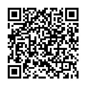 而她今日身上穿的这件亵衣又是用极薄的纱质面料做成二维码生成