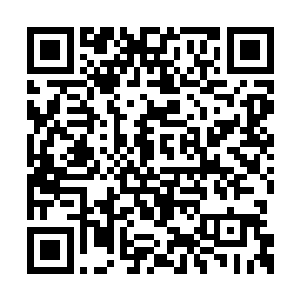 而她就是要用闻江的雷元素来引出火邪幻兽王者二维码生成