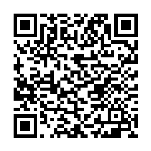而她的本体强度在这只融合兽面前又没有丝毫的优势二维码生成