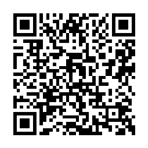 而如今让任琦宁头疼的事情也同样是后宫的事情二维码生成
