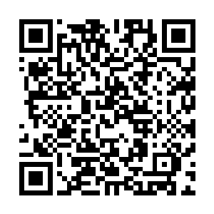 而如果你往坏的结局理解的话――那整个故事就非常绝望了二维码生成