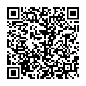 而孔雀和断刃则是因为找到一个地下隧道而成功甩脱了蚊群的追击二维码生成
