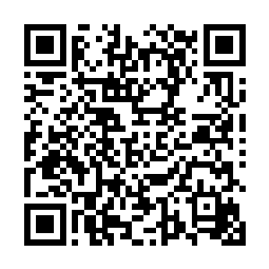 而它最受宠的原因是不仅忠心耿耿还会陪自家主子炼丹二维码生成