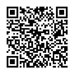 而宇宙之心凝聚出来的宇宙也是体内星体的一种二维码生成