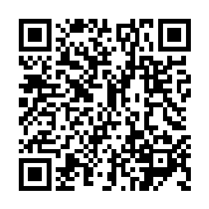 而对于坦克的心情变化最敏感的自然就是安娜了二维码生成