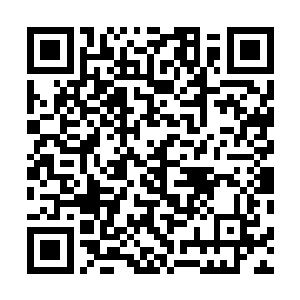 而对于神识修为已经达到元婴后期大圆满境界的吴岩来说二维码生成