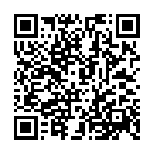 而对方却不过只是刚刚突破到万象境界不久而已二维码生成