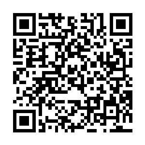 而小说也正是在主人公成为这个世界主宰的时候结束的二维码生成