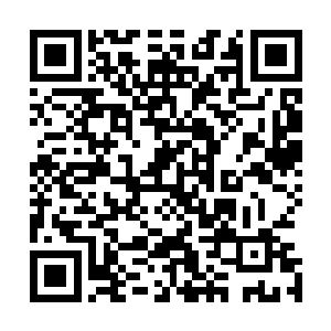 而少正家此时此刻至少三十多位道三境已经跟在了身前身后二维码生成