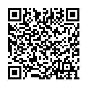 而就在房间的墙壁上……她更是看见了一具尸体二维码生成