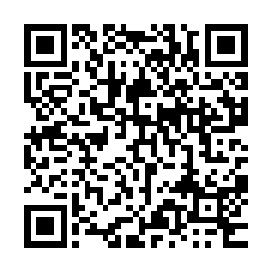 而就在曹昂以及曹彰各率兵部往马军营地两翼发起突击的同时二维码生成