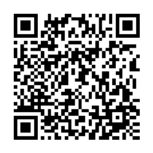 而就在这时有人告知他在幽云山脉中部见过老人家所需要的药草二维码生成