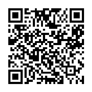 而尼克古拉斯手中的天地神水自然也落入了他们之手二维码生成