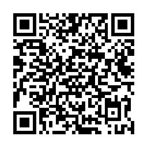 而山姆此举的真正目的……其实是为了确认号码的真实性二维码生成