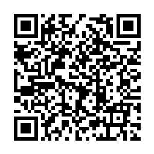 而左手则是在不停地翻着各种法印向着药鼎内印入二维码生成
