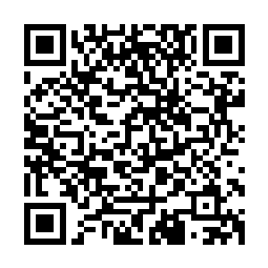 而巫果分出的每一份生命能量本源都具有巫果自己的传承记忆二维码生成