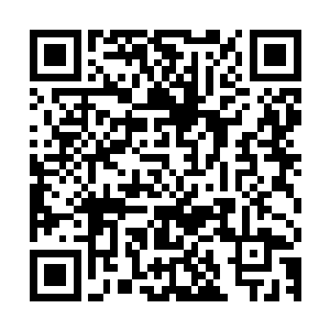 而巴克双手吊挂着看见周晓莉念念叨叨牵着两姐妹从小卖部出来二维码生成