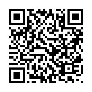 而布鲁在看了看他后却是没有动弹二维码生成