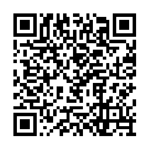 而年轻道士道士看到手掌心上的这几条绿色虫子二维码生成