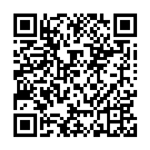 而并不是扔出来了那么多天外天万年难见的丹云神丹……二维码生成