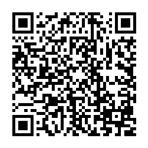 而幼年的金翅毒蜂和成年的并无太大的区别――在毒性与攻击力上二维码生成