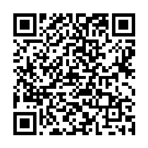 而庞然巨兽应龙似乎也发现了不寻常的远古荒兽的气息二维码生成