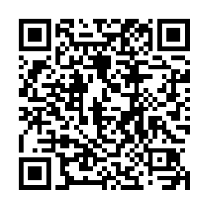 而开学的压力和季度报表的阴霾则如那轻纱下的一条安全裤二维码生成