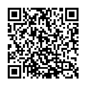 而张卫国和李媛则是有些愕然的望向身边的白昊二维码生成