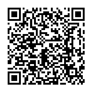而张大人和司礼监秉笔太监冯程山关系匪浅……四老爷在这事犯了大错二维码生成