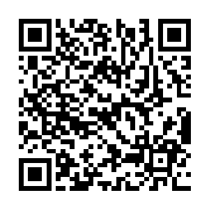 而张铁大哥后面娶的这两位嫂子的都是大家族出身二维码生成