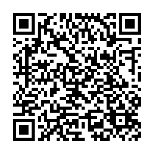 而当三份喜帖搅动三界的时候……清心已经分不清这究竟是一个梦境二维码生成