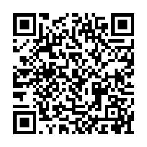 而当那泰虎被砸的再次加大力度往后翻飞的时候二维码生成