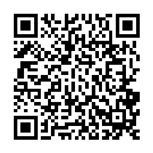 而很可能是十三部水族的妖王和数之不尽的水族大军一起前来二维码生成