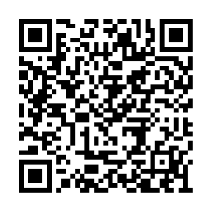 而我作为一位散修靠我自己根本不可能闯入进去二维码生成