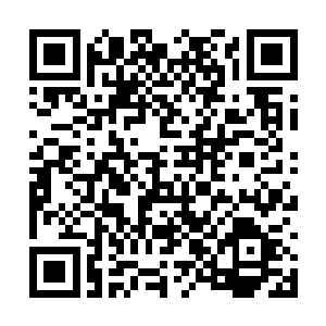 而我在楚轻舞他们的哀求之下动了留下来的念头时二维码生成