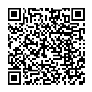 而我对所谓供奉长老才是完全没兴趣……但我怎么听说……在君主阁掌舵人之下二维码生成