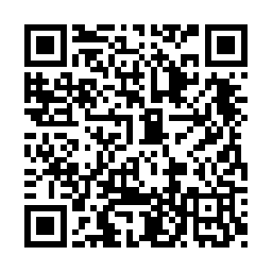 而我居然让一个低等星辰里生出的逆天神物真灵二维码生成