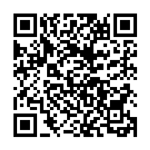 而我恰好是豆沙寨子这么些年来积攒的大气运的继承者二维码生成