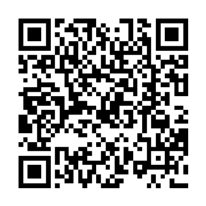 而我那一掌凝成的鬼气漩涡将这个鬼皇直接吸成了干尸二维码生成
