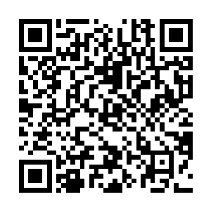 而所有人都知道明郁当时救了一个伤得极重的女人回府二维码生成