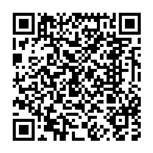 而扶植与中国大陆利益紧密相连的亲华派政治家族并非一朝一夕之功二维码生成