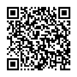 而掌门真人和四周的长老目光也各有思索变化的看着杨晨二维码生成