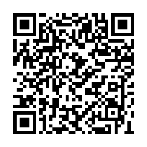 而教练的笑声也随着时间的推移变得不那么轻松二维码生成