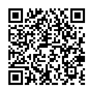 而斯科拉先生也必会为今晚的无礼而得到他应有的惩罚二维码生成